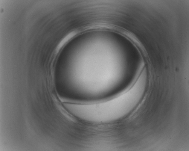 X0000062871242200601131002