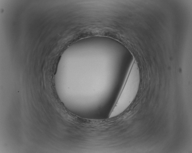 X0000062871249200601131002