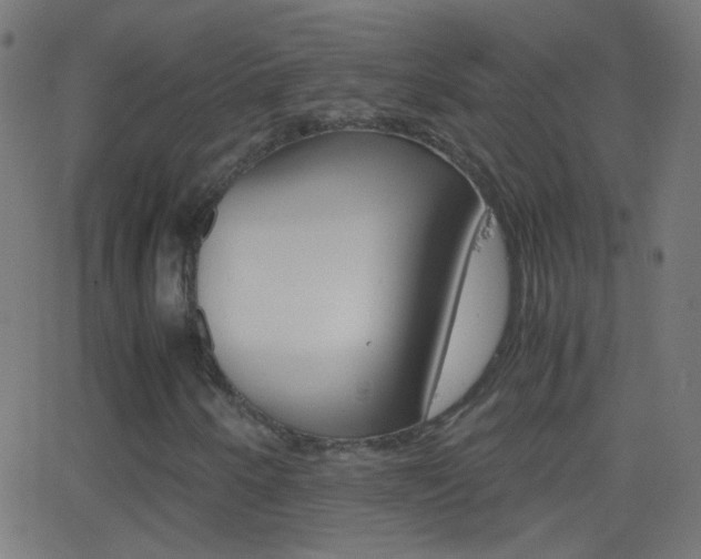 X0000062871250200601131002