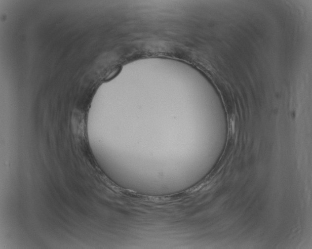 X0000062871251200601131002