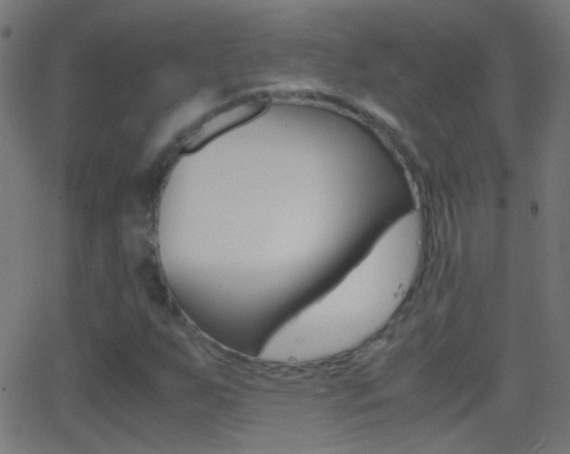 X0000062871255200601131002