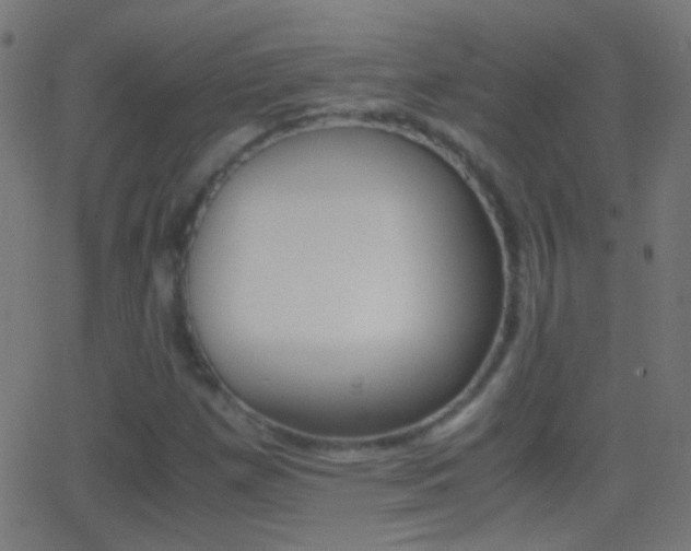 X0000062871257200601131001
