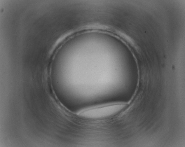 X0000062871264200601131001