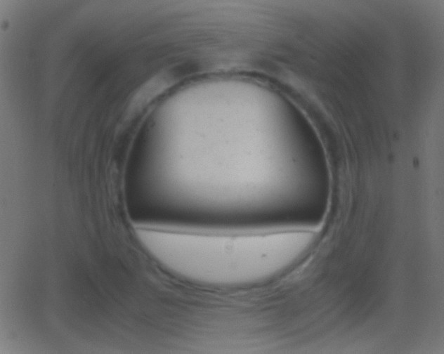 X0000062871265200601131001