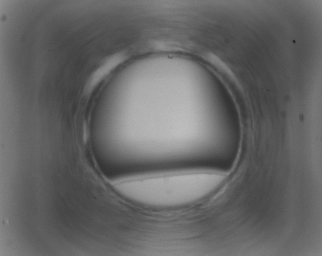 X0000062871269200601131001