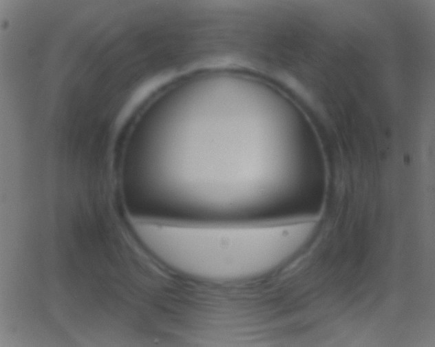 X0000062871270200601131001