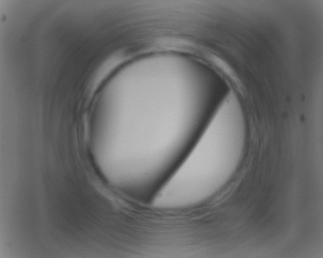 X0000062871275200601131001