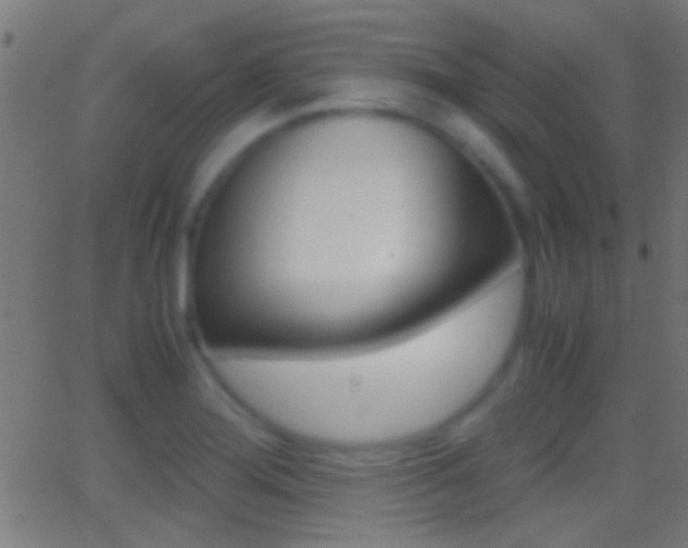X0000062871276200601131001