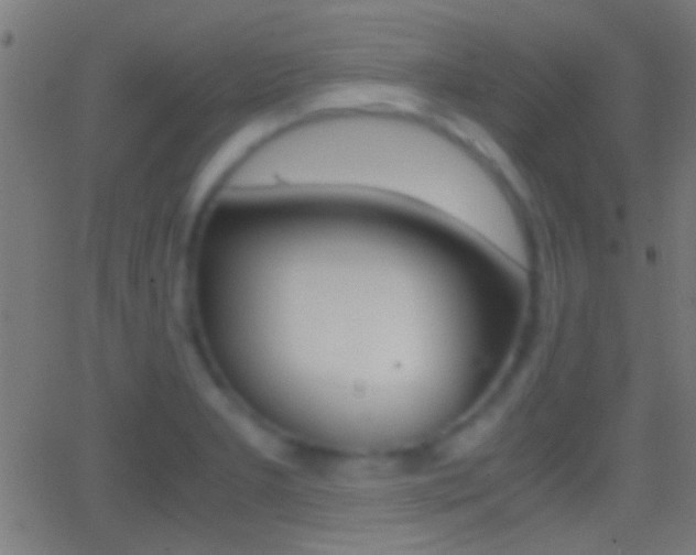 X0000062871277200601131001