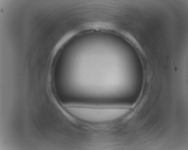 X0000062871285200601131001