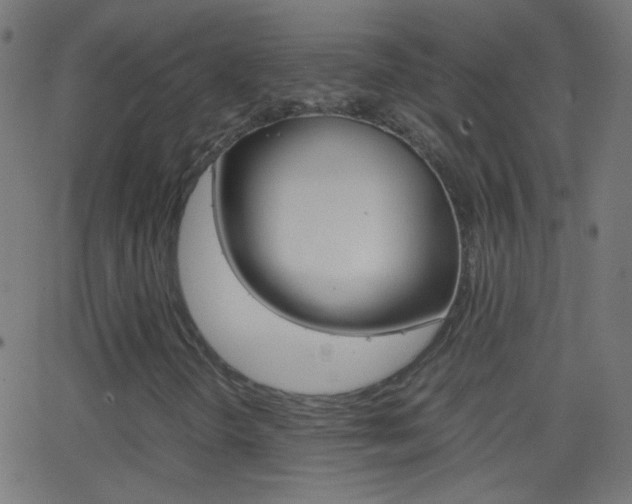 X0000062871298200601131000
