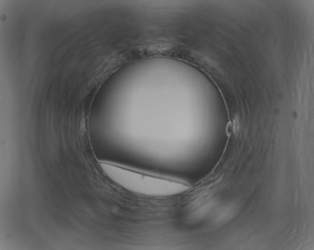 X0000062871299200601131000