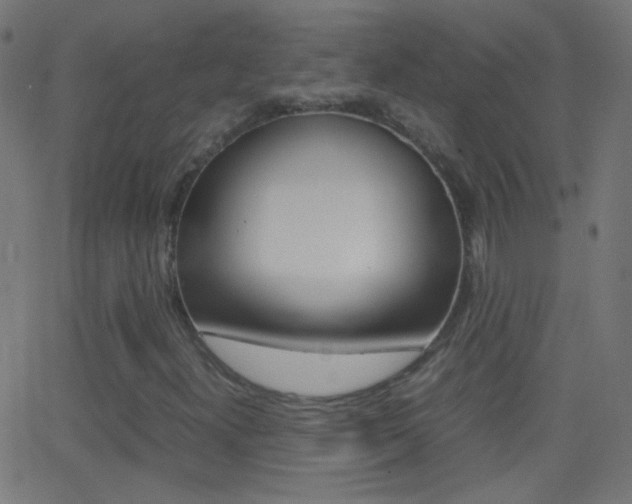 X0000062871300200601131000