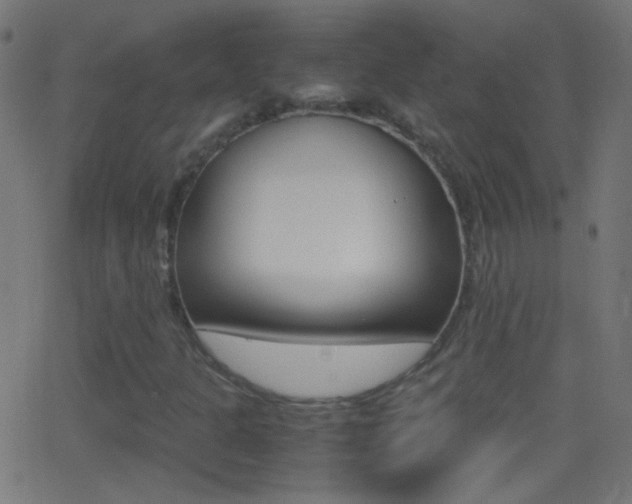 X0000062871301200601131000