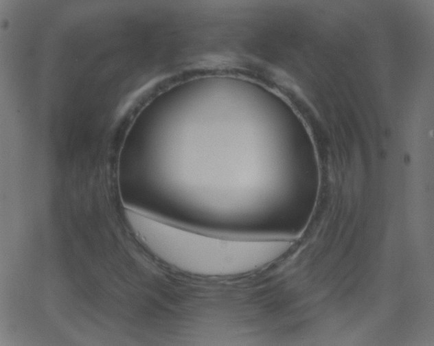 X0000062871304200601131000