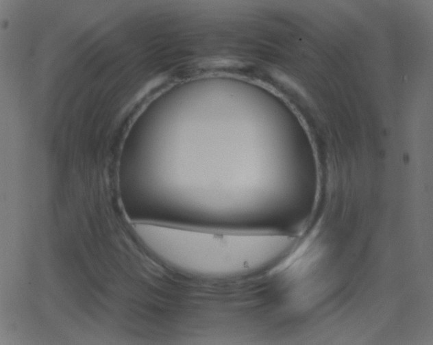 X0000062871305200601131000