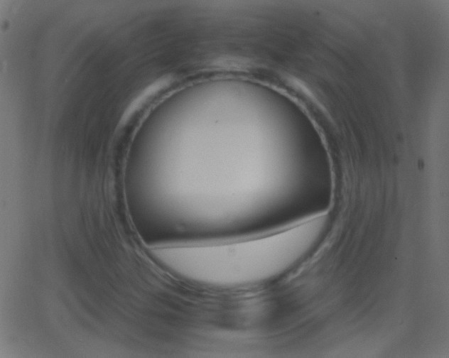 X0000062871307200601131000