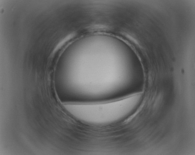 X0000062871309200601131000