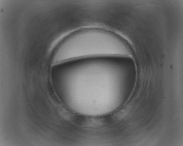 X0000062871311200601131000