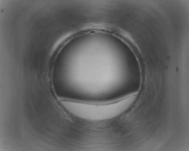 X0000062871312200601131000