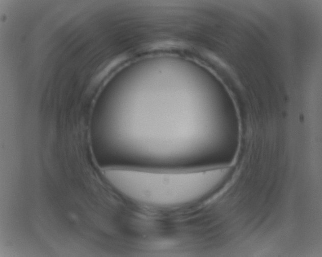X0000062871313200601131000