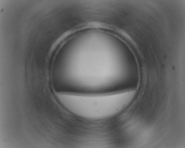 X0000062871318200601131000