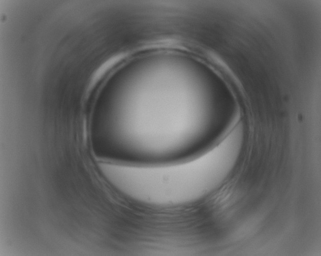 X0000062871320200601131000