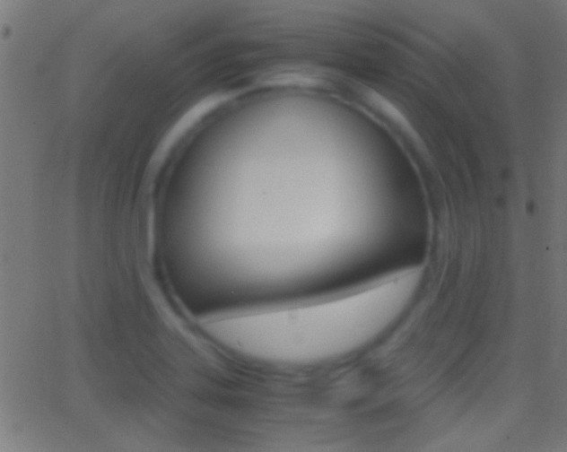 X0000062871323200601131000
