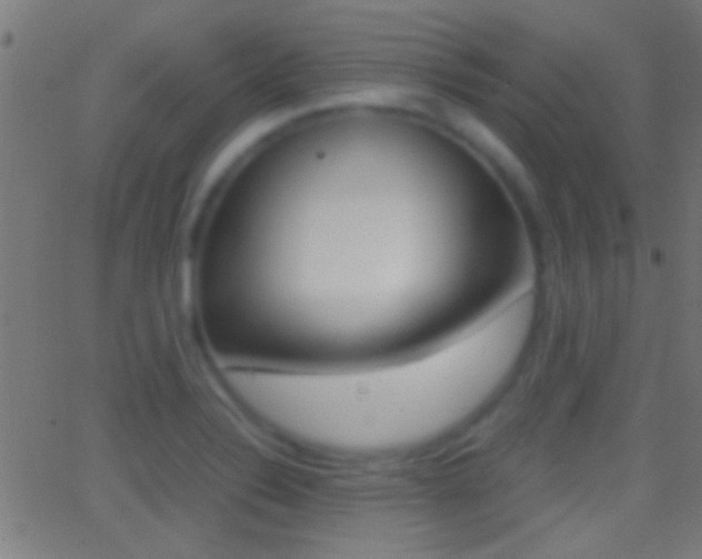 X0000062871324200601131000