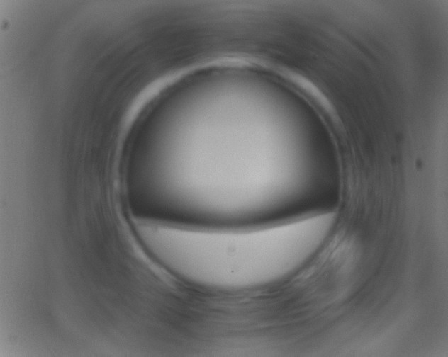 X0000062871327200601131001