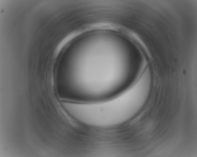 X0000062871328200601131001