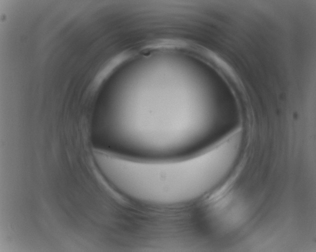 X0000062871329200601131001