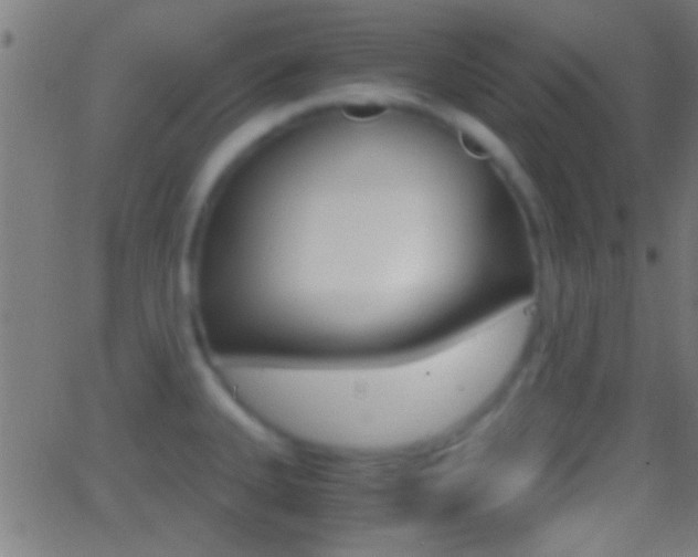 X0000062871335200601131001