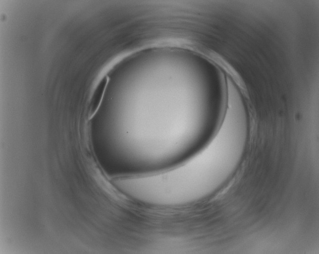 X0000062871340200601131001