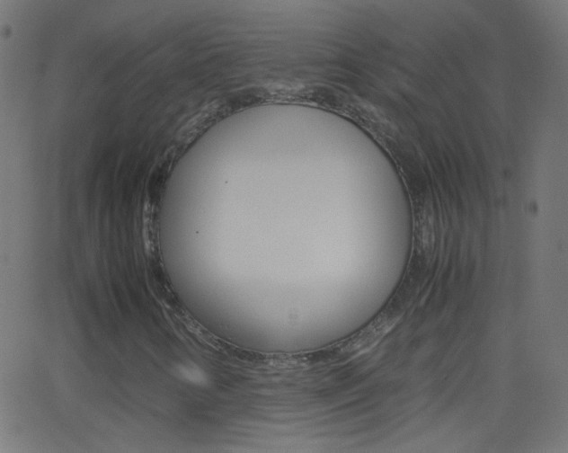 X0000062871346200601131000