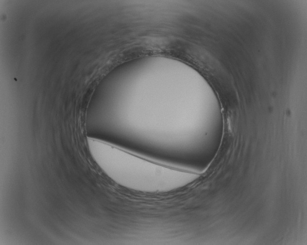 X0000062871347200601131000
