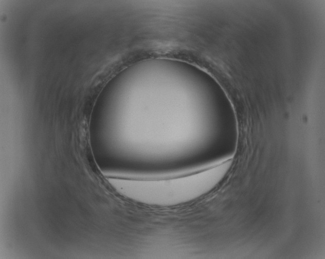 X0000062871349200601131000