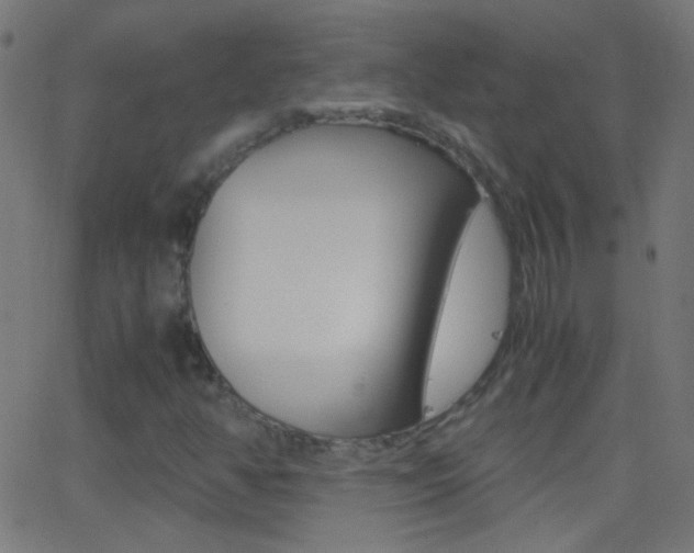 X0000062871350200601131000