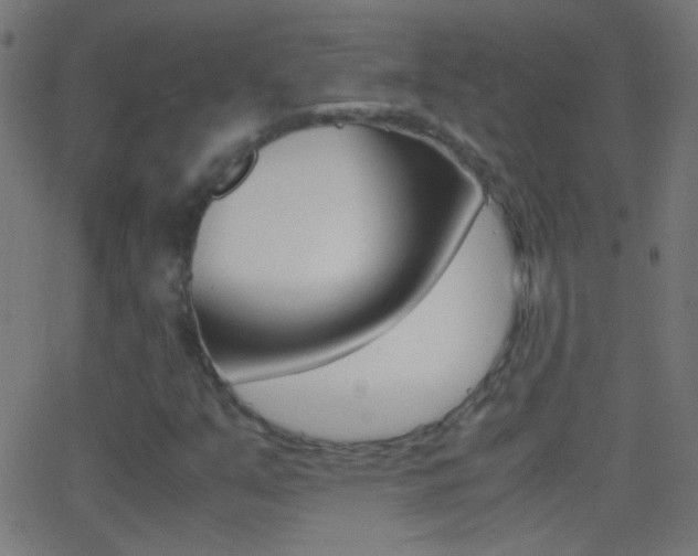 X0000062871351200601131000