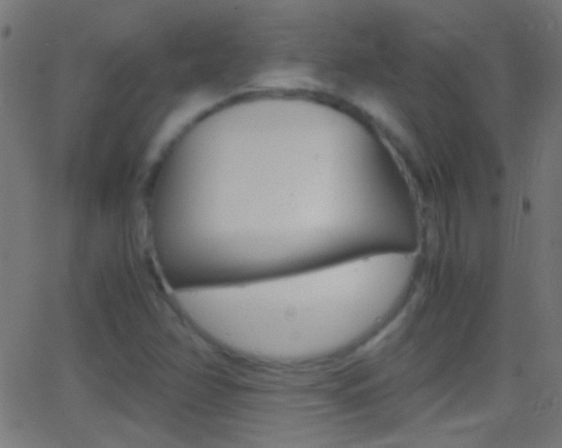 X0000062871358200601131000