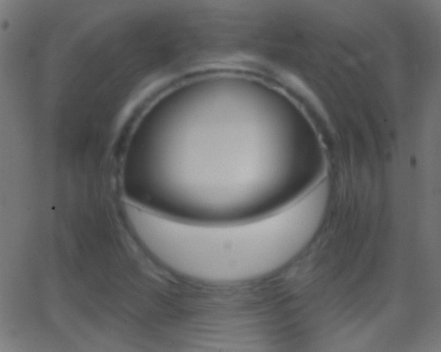 X0000062871360200601131000
