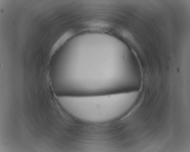 X0000062871362200601131000