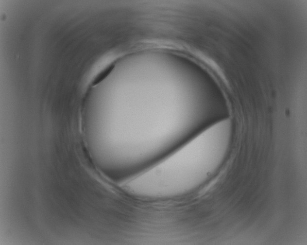 X0000062871365200601131000