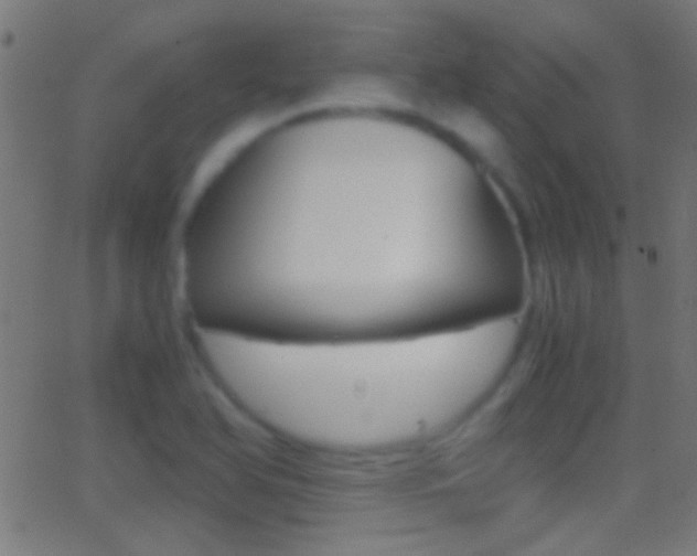X0000062871366200601131000