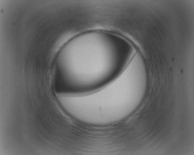 X0000062871367200601131000