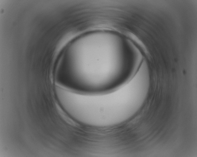 X0000062871372200601131000