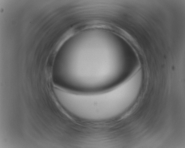 X0000062871377200601130959