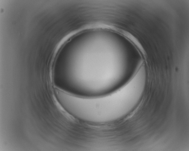 X0000062871388200601130959