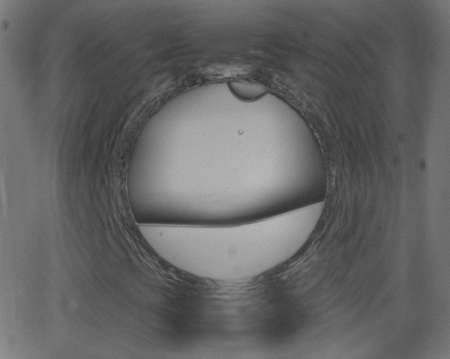 X0000062871393200601130958