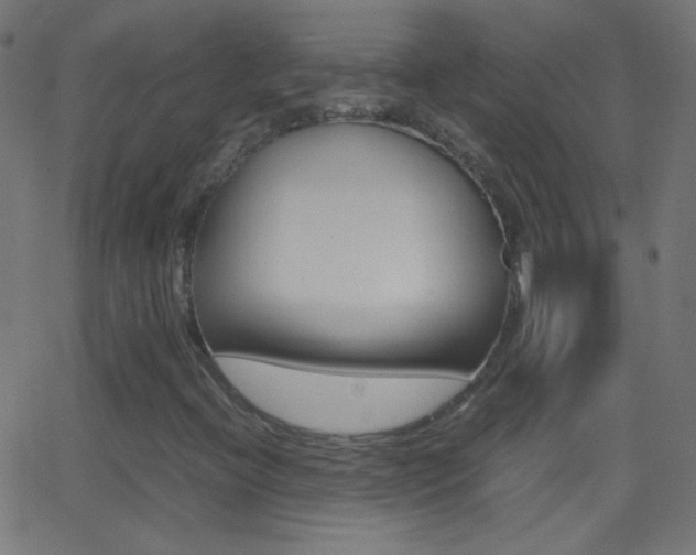 X0000062871396200601130958